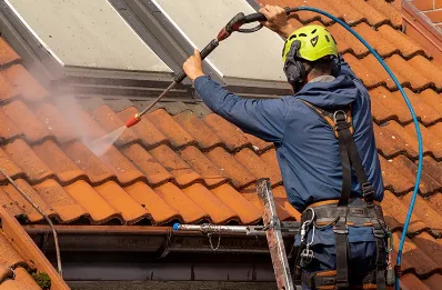 Démoussage et hydrofuge de toiture à Vertolaye